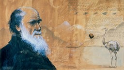 Porträt Charles Darwin, um 1870