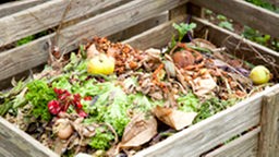 Garten- und Lebensmittelabfälle auf dem Komposthaufen.