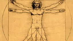 Der 'vitruvianische Mensch', eine Zeichnung von Leonardo da Vinci.