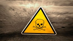 Warnschild Giftig: Totenkopf mit gekreuzten Knochen auf gelben Grund.