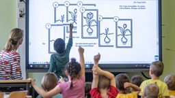 Lehrerin und Schüler sitzen vor digitalem Whiteboard, Schüler zeigen auf.
