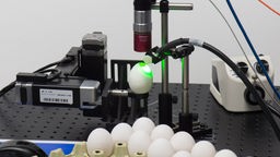 Scanner zur Erkennung des Geschlechts eines Kükens im Ei.