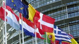 Die Flaggen der Mitgliedsländer der Europäischen Union wehen vor dem Gebäude des Europaparlaments in Straßburg.