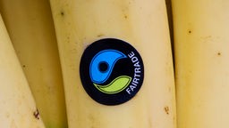 Fairtrade-Zeichen klebt auf einer Banane.