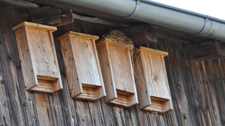 Fledermauskästen unter einem Scheunendach.