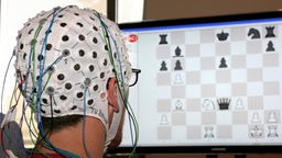 Mann (von hinten) mit EEG-Kappe sitzt vor Computer, auf dessen Bildschirm ein Schachspiel zu sehen ist.