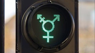 Fußgängerampel zeigt bei 'grün' die Symbole für 'männlich', 'weiblich' und 'transgender'.