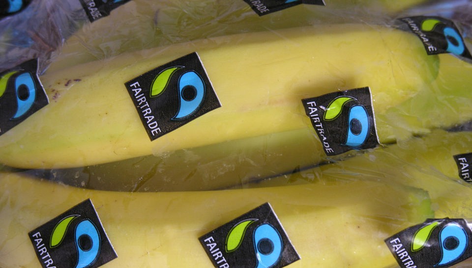 Transairsiegel auf Plastikfolie, in die Bananen eingepackt sind.