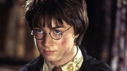 Portrait von Daniel Radcliffe als Harry Potter