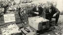 Zwei Männer hocken im Jahr 1923 vor großen Kisten voller wertlos gewordenen Geldscheinen. 