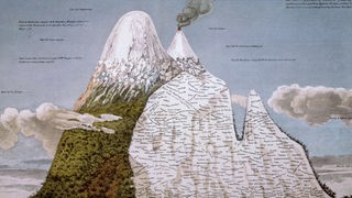 Zeichnung des Vulkans Chimborazo, auf dem Berg sind Pflanzennamen geschrieben.