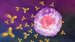 Zeichnung: Antikörper greifen eine Virenzelle an.
