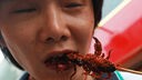 Asiatischer Junge steckt sich ein gewürztes Insekt in den Mund.