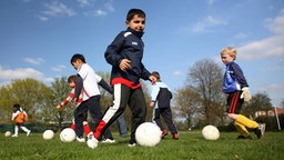Jungen-Fußballmannschaft bei Training. | Bildquelle: WDR / imago Jungen-Fußballmannschaft bei Training.