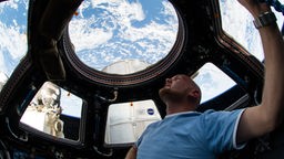 Der Astronaut Alexander Gerst guckt während seines Fluges mit der ISS durch ein Fenster in der Kuppel auf die Erde.