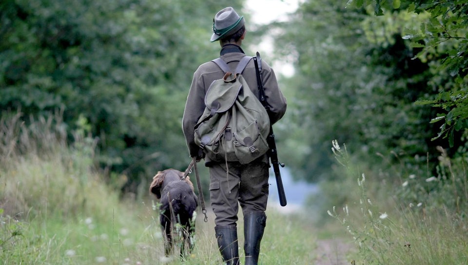 Ein Jäger (von hinten) mit Rucksack und Gewehr geht mit Hund durch den Wald.