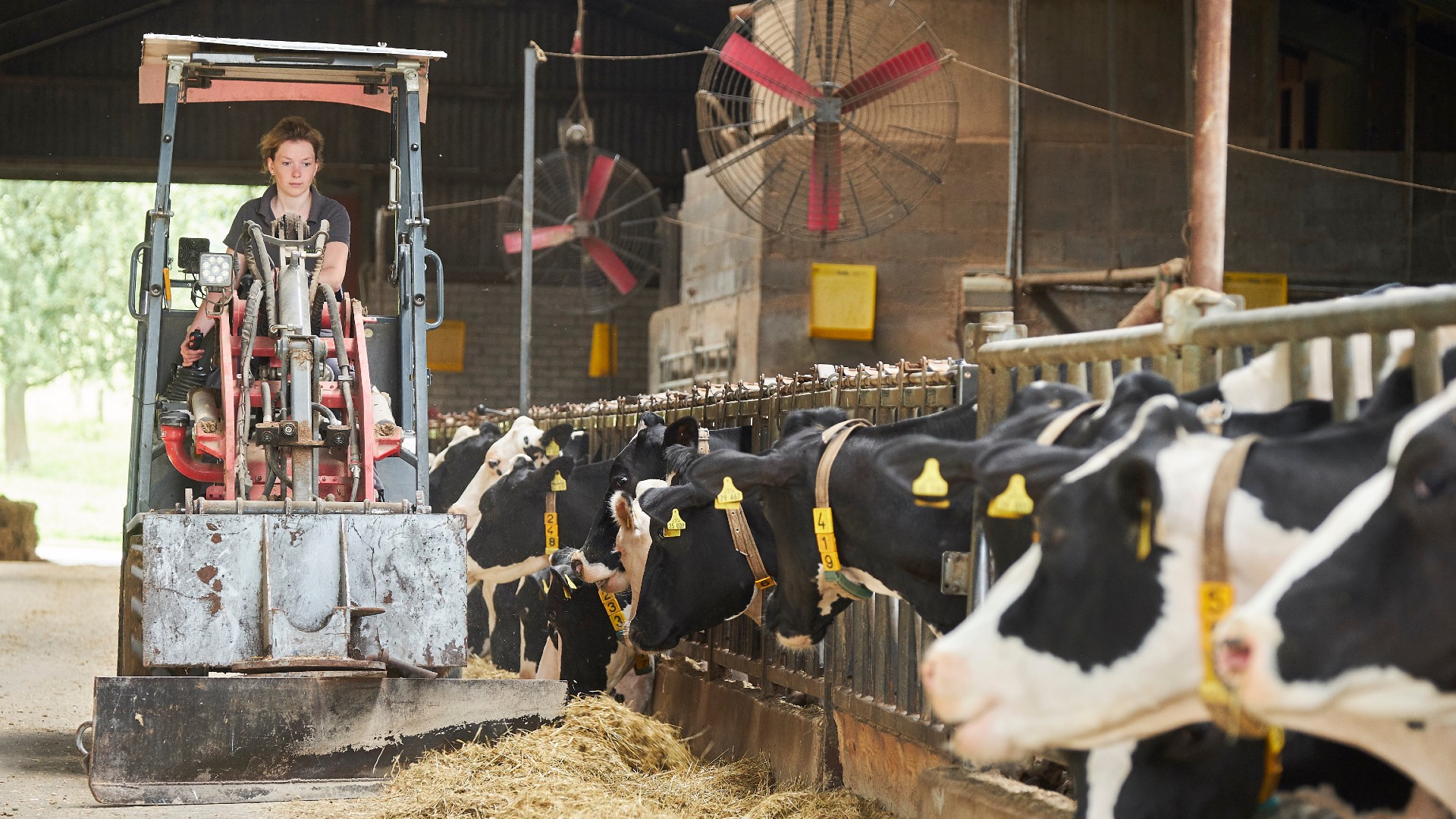 Landwirt - L - A bis Z - Lexikon - neuneinhalb - TV - Kinder - L - A