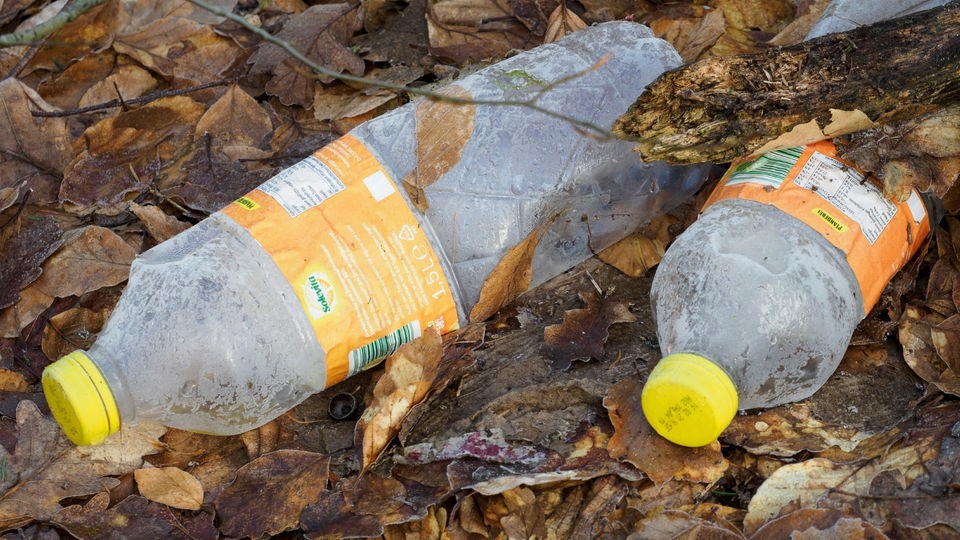 Zwei leere Plastikflaschen liegen in Laub.