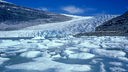 Eisschollen treiben vor hoher Gletscherkante aus Eis.