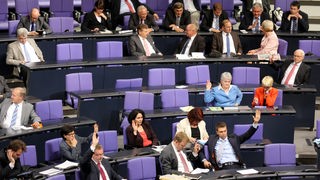 Mitglieder der CDU-Bundestagsfraktion bei einer Abstimmung.