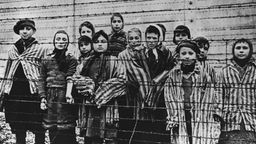 Kinder im Konzentrationslager Ausschwitz stehen hinter Stacheldrahtzaun.