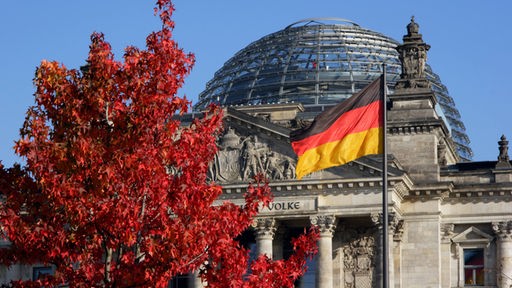 Reichstag hinter herbstlichem Laub.