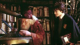 Szene aus dem Film 'Harry Potter und die Kammer des Schreckens'.