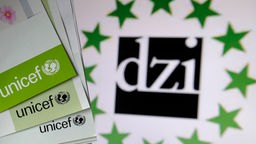 Das dzi-Logo mit dem Schriftzug dzi und zwölf grünen Sternen drumherum.