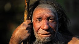 Nachbildung eines älteren Neandertalers.