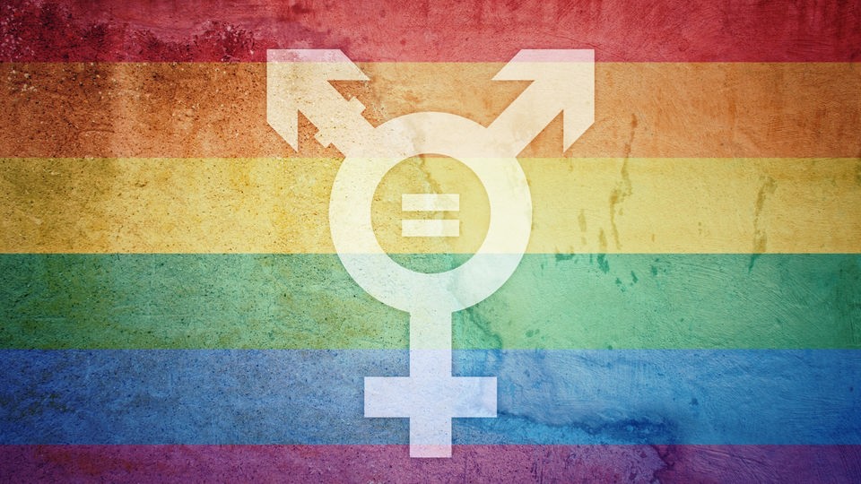 Das Transgender-Symbol auf einer LGBTQ-Flagge.