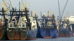 Fischtrawler stehen nebeneinander im Hafen.