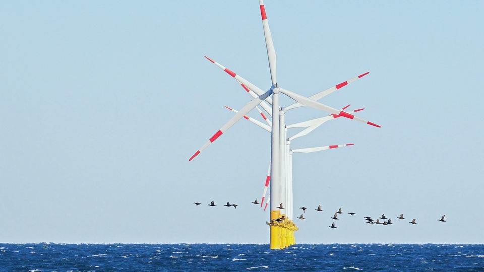 Vögel fliegen vor Offshore-Windpark.
