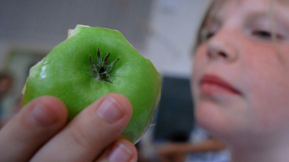 Mädchen hält angebissenen Apfel in die Kamera