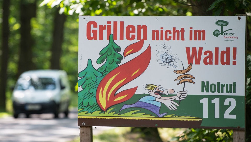 Schild mit der Aufschrift 'Grillen nicht im Wald' steht an Waldweg.