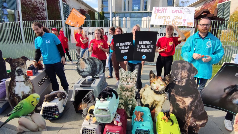 Tierschützer mit Katzen- und Hundeboxen und Plakaten demonstrieren vor dem Kanzleramt.
