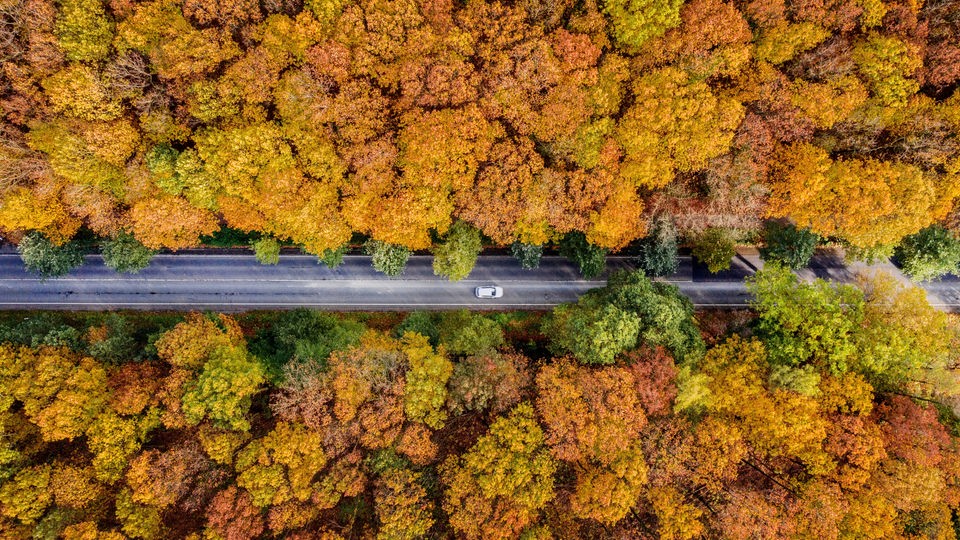 Luftaufnahme: Ein Auto fährt auf einer Straße durch einen herbstlich Wald.