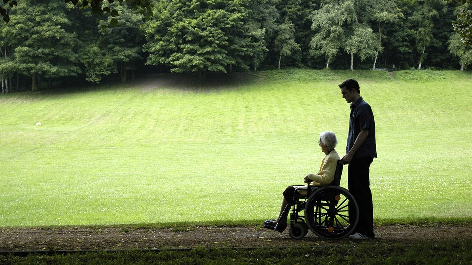 Zivildienstleistender schiebt eine ältere Frau im Rollstuhl vor einer Wiese entlang.