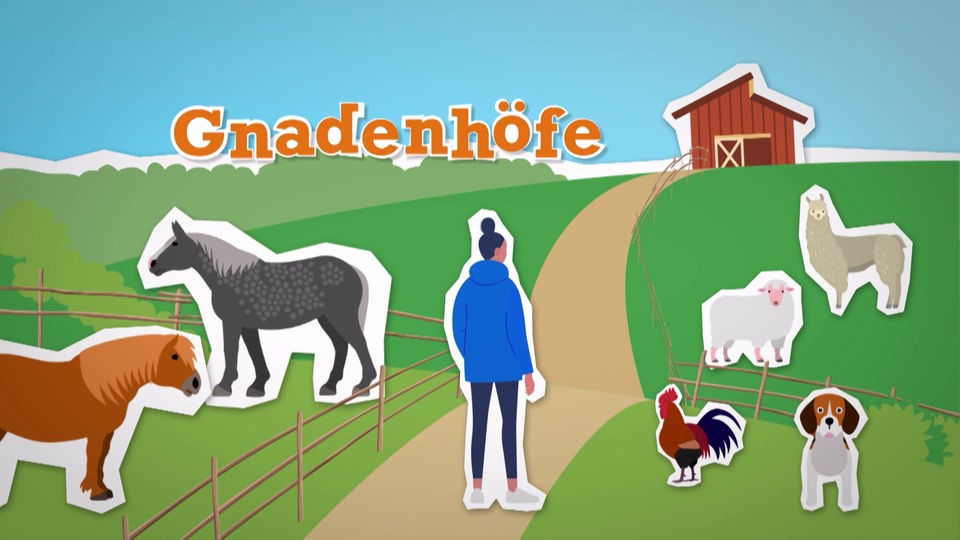 Grafik zeigt verschiedene Tiere auf einer Wiese, in der Mitte ein Mensch auf einem Weg, im Hintergrund eine Hütte.