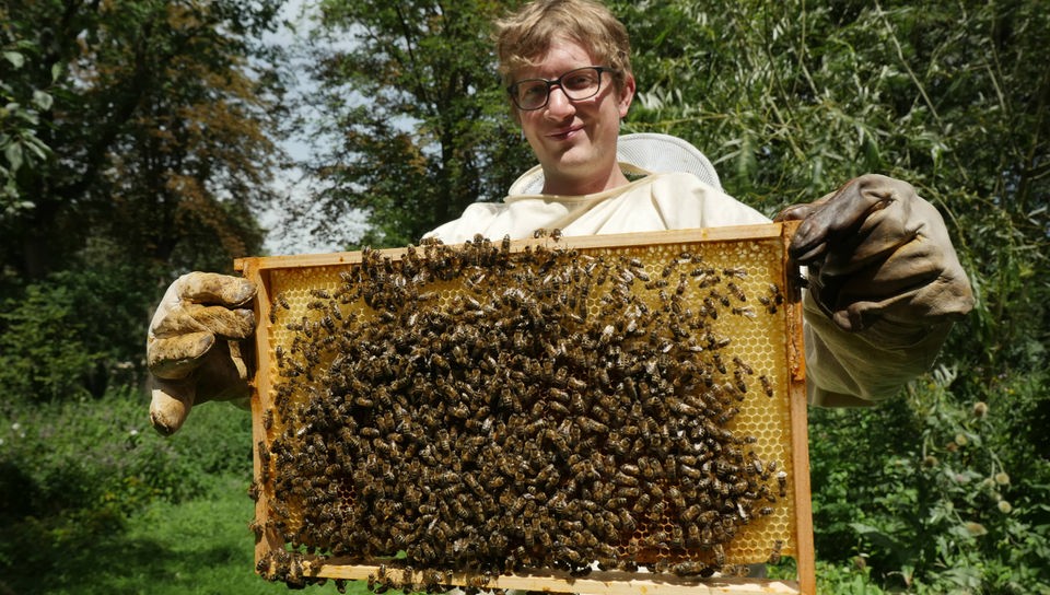 Robert in Schutzkleidung und mit einem sogenannten „Rähmchen“ voller Honigbienen.