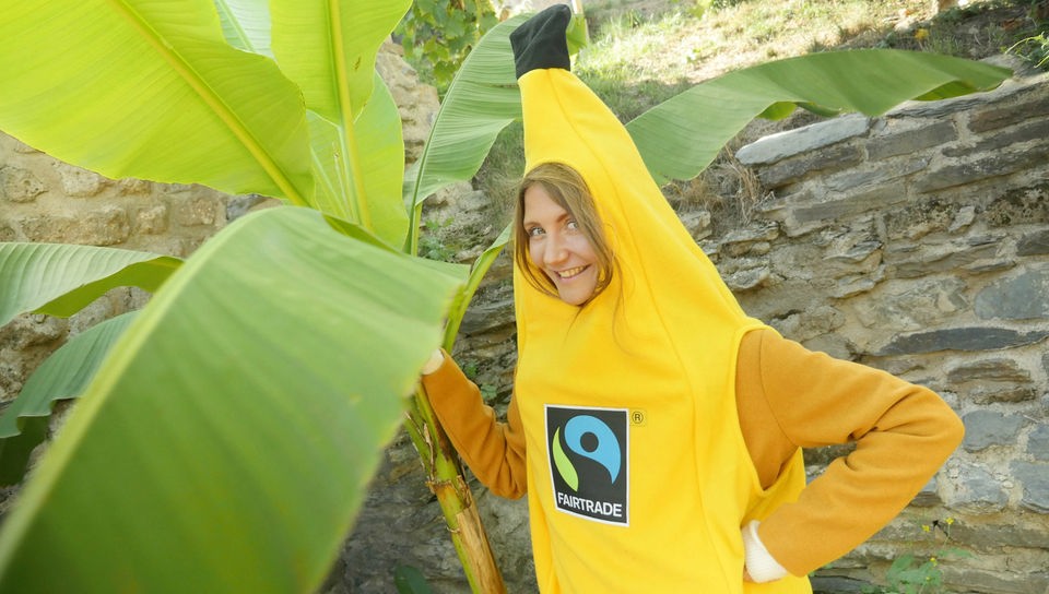 Jana steht neben einer Bananenpflanze. Sie steckt in einem Bananen-Ganzkörper-Kostüm.